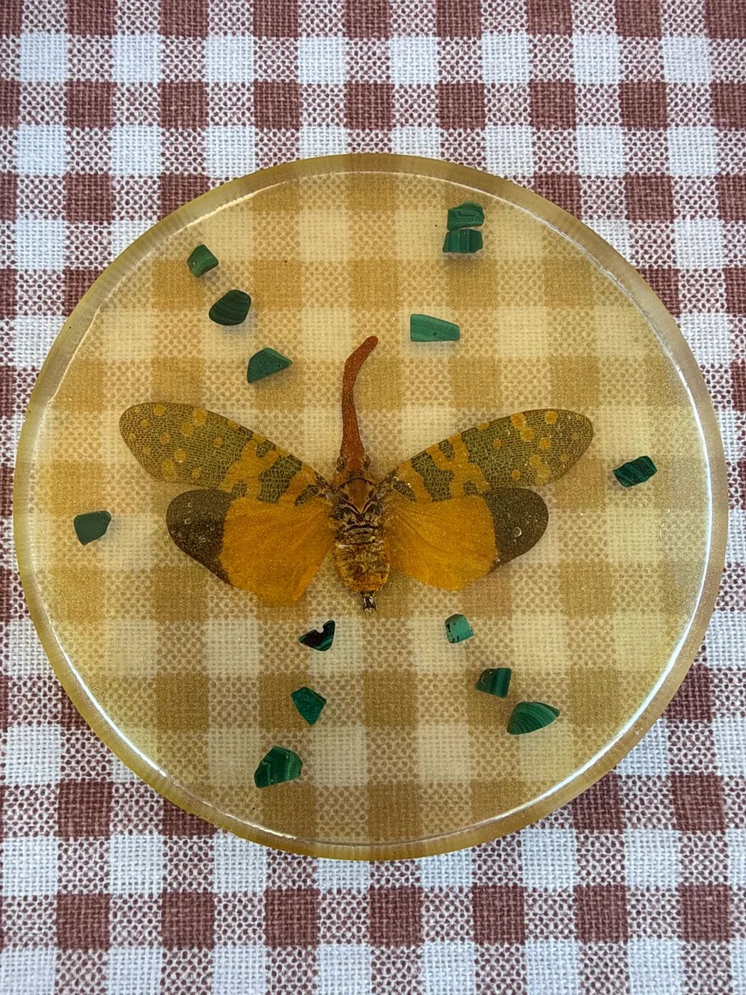 Lanternfly & Malachite Coaster